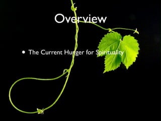 Overview

• The Current Hunger for Spirituality
 