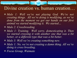 Divine creation vs. human creation… Male 1: Well we’re not playing God. We’re not creating things.  All we’re doing is modifying, as we’ve done from the moment we got our hands on our first animal we started modifying it.  We started…  Male 2: Crossbreeding  Male 1: Training.  Well sorry, domesticating it. Then we started crossing it with another one that was a bit better, or a different type that was a bit better. Male 3: Well we’re creating something new. Male 1: No, we’re not creating a damn thing. All we’re doing is cross breeding. Focus Group, Waimate 