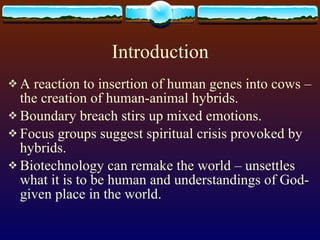 Introduction A reaction to insertion of human genes into cows – the creation of human-animal hybrids.  Boundary breach stirs up mixed emotions. Focus groups suggest spiritual crisis provoked by hybrids. Biotechnology can remake the world – unsettles what it is to be human and understandings of God-given place in the world.  