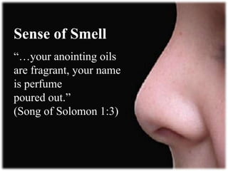 Sense of Smell
“…your anointing oils
are fragrant, your name
is perfume
poured out.”
(Song of Solomon 1:3)
 