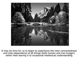 20
It may be time for us to begin to experience the inter-connectedness
and inter-dependence of all things (both human and non-human)
rather than leaving it to occasional intellectual understanding
 