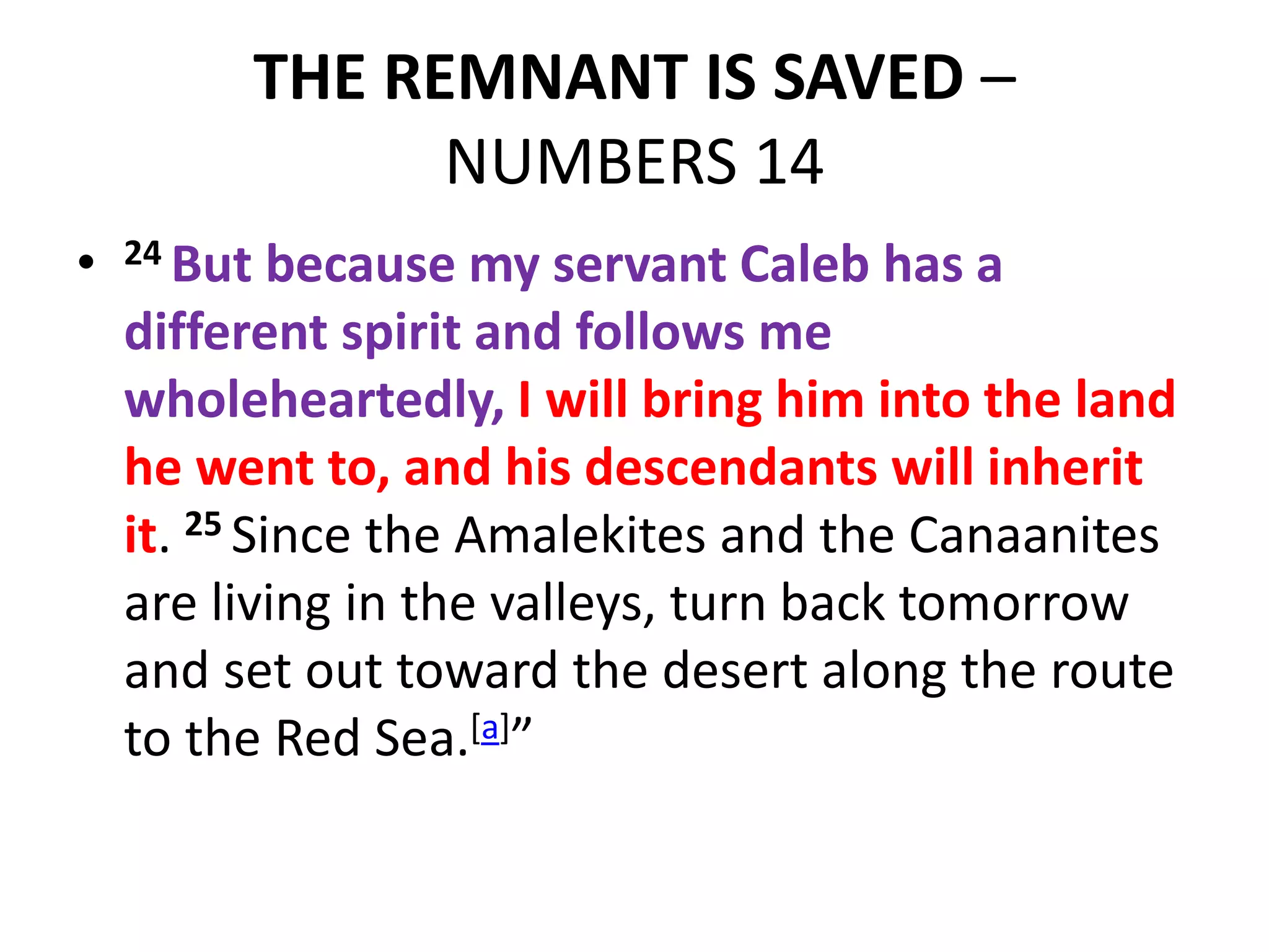 THE REMNANT IS SAVED –
NUMBERS 14
• 24 But because my servant Caleb has a
different spirit and follows me
wholeheartedly, I will bring him into the land
he went to, and his descendants will inherit
it. 25 Since the Amalekites and the Canaanites
are living in the valleys, turn back tomorrow
and set out toward the desert along the route
to the Red Sea.[a]”
 
