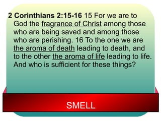 2 Corinthians 2:15-16 15 For we are to 
God the fragrance of Christ among those 
who are being saved and among those 
who are perishing. 16 To the one we are 
the aroma of death leading to death, and 
to the other the aroma of life leading to life. 
And who is sufficient for these things? 
SMELL 
 