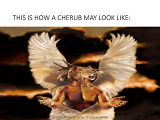 THIS IS HOW A CHERUB MAY LOOK LIKE:
 
