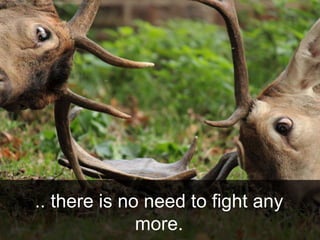 .. there is no need to fight any
more.
 