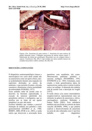 Rev. Bras. Saúde Prod. An., v.5, n.1, p. 25-30, 2004                          http://www.rbspa.ufba.br
ISSN 1519 9940




               Figuras: Cão. Aneurisma de aorta torácico 1. Aneurisma de aorta torácica de
               grande dimensão (seta); 2 Múltiplos aneurismas de artérias aórtica (setas); 3.
               Substituição da íntima por proliferação fibrocelular rica em colágeno denso e
               espesso. Van-Gieson. Obj. 20X; S. lupi cortados em vários sentidos imersos em
               exsudato leucocitário e debris celulares. He, Obj 10X



DISCUSSÃO e CONCLUSÃO


O diagnóstico anatomopatológico (macro e                 parasitose com neoplasias, tais como:
microscópico) nos casos deste estudo não                 fibrossarcoma pulmonar primário e
se caracterizou como um apoio clínico, deu-              sarcoma esofágico (WANDERA, 1976;
se acidentalmente durante uma inspeção em                STEPHENS et al., 1983). Entretanto, neste
espécimes destinados ao ensino da                        estudo, a lesão granulomatosa típica da
anatomia, o que permitiu levantar a elevada              espirocercose canina esteve restrita à artéria
casuística e demonstrar a baixa mortalidade              aorta e ao esôfago. A dimensão dos nódulos
da enfermidade (IVOGHLI, 1977).                          está de acordo com a descrição de Ivoghli
Esses achados estão de acordo com os                     (1977).
descritos na literatura especializada, à                 O óxido nítrico e/ou outros intermediários
exceção da natureza epitelióide dos                      oxigênio-reativos representariam mais um
granulomas aórticos e esofagianos, que se                elemento na gênese do aneurisma e, talvez,
justifica por se tratar de um agente                     carcinogênico, conforme Meléndez e
antigênico, ou seja, não inerte.                         Suárez Pellín (2001). Essa substância
Existem trabalhos que relatam a possível                 também está envolvida no controle do tônus
formação de nódulos nos pulmões e trato                  vascular (KAISER, 1998), o que poderia
gastrointestinal (GEORGI et al., 1980;                   explicar o desenvolvimento do aneurisma
BERRY, 2000; DVIR et al., 2001), e ainda                 na aorta de cães infectados com S. lupi.Este
outros que descrevem a associação desta                  trabalho           com           diagnóstico
                                                                                                    28
 