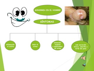 GONORREA EN EL HOMBRE
SÍNTOMAS
inflamación
el uretra
dolor al
orinar
sensación
urgente
y espontánea
de orinar
sale secreción
blanca, amarilla o
verde del pene
 