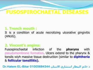 FUSOSPIROCHAETAL DISEASES
1. Trench mouth :
It is a condition of acute necrotizing ulcerative gingivitis
(ANUG).
2. Vincent’s angina:
Fusospirochaetal infection of the pharynx with
pseudomembrane formation. Ulcers extend to the pharynx &
tonsils wiyh massive tissue destruction (similar to diphtheria
& follicular tonsillitis).
 