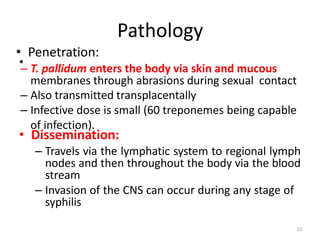 12
Pathology
•
• Penetration:
– T. pallidum enters the body via skin and mucous
membranes through abrasions during sexual contact
– Also transmitted transplacentally
– Infective dose is small (60 treponemes being capable
of infection).
• Dissemination:
– Travels via the lymphatic system to regional lymph
nodes and then throughout the body via the blood
stream
– Invasion of the CNS can occur during any stage of
syphilis
 