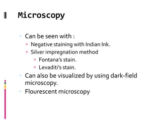 Microscopy
 Can be seen with :
 Negative staining with Indian Ink.
 Silver impregnation method
 Fontana’s stain.
 Levaditi’s stain.
 Can also be visualized by using dark-field
microscopy.
 Flourescent microscopy
 