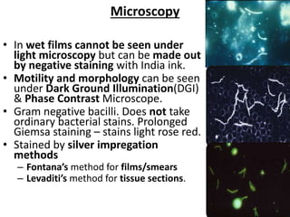 Microscopy
• In wet films cannot be seen under
light microscopy but can be made out
by negative staining with India ink.
• Motility and morphology can be seen
under Dark Ground Illumination(DGI)
& Phase Contrast Microscope.
• Gram negative bacilli. Does not take
ordinary bacterial stains. Prolonged
Giemsa staining – stains light rose red.
• Stained by silver impregation
methods
– Fontana’s method for films/smears
– Levaditi’s method for tissue sections.
 