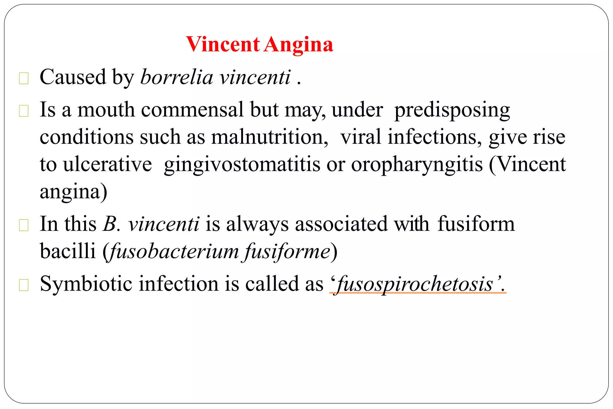 VincentAngina
Caused by borrelia vincenti .
Is a mouth commensal but may, under predisposing
conditions such as malnutrition, viral infections, give rise
to ulcerative gingivostomatitis or oropharyngitis (Vincent
angina)
In this B. vincenti is always associated with fusiform
bacilli (fusobacterium fusiforme)
Symbiotic infection is called as ‘fusospirochetosis’.
 