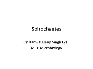 Spirochaetes
Dr. Kanwal Deep Singh Lyall
M.D. Microbiology
 