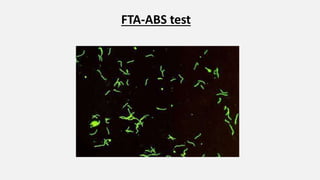FTA-ABS test
 