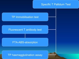 Specific T Pallidum Test TP Immobilisation test Fluorescent T antibody test TP haemagglutination assay FTA-ABS-absorption 