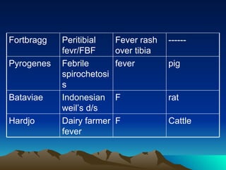 Cattle F Dairy farmer fever Hardjo rat F Indonesian weil’s d/s Bataviae pig fever Febrile spirochetosis Pyrogenes ------ Fever rash over tibia Peritibial fevr/FBF Fortbragg 