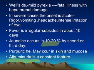 Weil’s ds.-mild pyrexia ----fatal illness with hepatorenal damage In severe cases the onset is acute-Rigor,vomiting ,headache,intense irritation of eye Fever is irregular-subsides in about 10 days Jaundice occurs in 10-20 % by seond or third day. Purpuric he. May ccur in skin and mucosa Albuminuria is a constant feature 