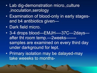 Lab dig-demonstration micro.,culture ,inoculation,serology Examination of blood-only in early stages-and b4 antibiotics given— Dark field micro. 3-4 drops blood---EMJH----37C—2days—after tht room temp.—2weeks-------samples are examined on every third day under darkground for lept. Primary isolation may be dalayed-may take weeeks to months- 