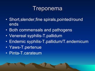 Treponema Short,slender,fine spirals,pointed/round ends Both commensals and pathogens Venereal syphilis-T.pallidum Endemic syphilis-T.pallidum/T.endemicum Yaws-T.pertenue Pinta-T.carateum 