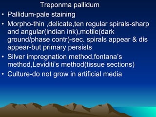 Treponma pallidum Pallidum-pale staining Morpho-thin ,delicate,ten regular spirals-sharp and angular(indian ink),motile(dark ground/phase contr)-sec. spirals appear & dis appear-but primary persists Silver impregnation method,fontana’s method,Leviditi’s method(tissue sections) Culture-do not grow in artificial media 