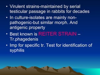 Virulent strains-maintained by serial testicular passage in rabbits for decades In culture-isolates are mainly non-pathogenic-but similar morph. And antigenic property Best known is  REITER STRAIN  –Tr.phagedenis Imp for specific tr. Test for identification of syphilis 