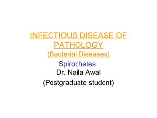 INFECTIOUS DISEASE OF
PATHOLOGY
(Bacterial Diseases)
Spirochetes
Dr. Naila Awal
(Postgraduate student)

 