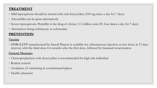 TREATMENT
◦ Mild leptospirosis should be treated with oral doxycycline (100 mg twice a day for 7 days).
◦ Amoxicillin can be given alternatively
◦ Severe leptospirosis: Penicillin is the drug of choice (1.5 million units IV, four times a day for 7 days)
◦ Alternatives being ceftriaxone or cefotaxime.
PREVENTION
Vaccine
◦ SPIROLEPT manufactured by Sanofi-Pasteur is available for subcutaneous injection as two doses at 15 days
interval, with the third dose 4-6 months after the first dose, followed by biannual revaccination.
General Measures
◦ Chemoprophylaxis with doxycycline is recommended for high risk individual
◦ Rodent control
◦ Avoidance of swimming in contaminated places
◦ Health education
 