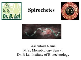 Spirochetes
Aashutosh Nama
M.Sc Microbiology Sem -1
Dr. B Lal Institute of Biotechnology
 