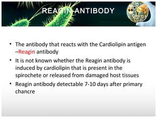 REAGIN ANTIBODY

• The antibody that reacts with the Cardiolipin antigen
–Reagin antibody
• It is not known whether the Reagin antibody is
induced by cardiolipin that is present in the
spirochete or released from damaged host tissues
• Reagin antibody detectable 7-10 days after primary
chancre

 