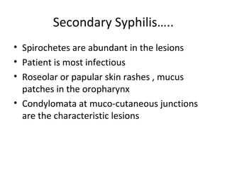 Secondary Syphilis…..
• Spirochetes are abundant in the lesions
• Patient is most infectious
• Roseolar or papular skin rashes , mucus
patches in the oropharynx
• Condylomata at muco-cutaneous junctions
are the characteristic lesions

 