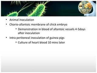 • Animal inoculation
• Chorio-allantoic membrane of chick embryo
• Demonstration in blood of allantoic vessels 4-5days
after inoculation
• Intra peritoneal inoculation of guinea pigs
• Culture of heart blood 10 mins later

 
