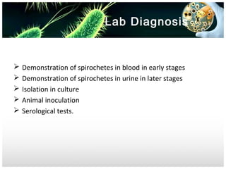 Lab Diagnosis







Demonstration of spirochetes in blood in early stages
Demonstration of spirochetes in urine in later stages
Isolation in culture
Animal inoculation
Serological tests.

 