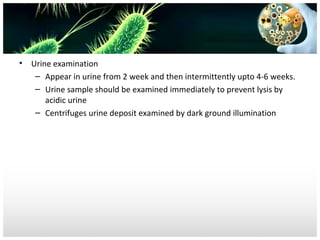 •

Urine examination
– Appear in urine from 2 week and then intermittently upto 4-6 weeks.
– Urine sample should be examined immediately to prevent lysis by
acidic urine
– Centrifuges urine deposit examined by dark ground illumination

 