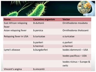 Name
East African relapsing
fever
Asian relapsing fever

Causative organism
B.duttonii

Vector
Ornithodoros moubata

b.persica

Ornithodoros tholozanii

Relapsing fever in USA

b.turicatae

o.turicatae

Lyme’s disease

b.parkeri
b.hermsii
b.burgdorferi

o.parkeri
o.hermsii
Ixodes dammcnii – USA
Ixodes pacificus – USA
Ixodes ricinus – Europe &
switz

Vincent’s angina

b.vincentii

 