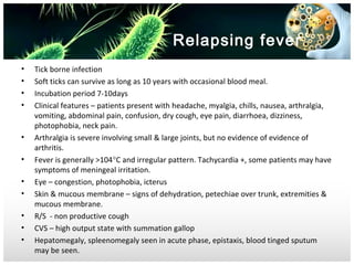 Relapsing fever
•
•
•
•

•
•
•
•
•
•
•

Tick borne infection
Soft ticks can survive as long as 10 years with occasional blood meal.
Incubation period 7-10days
Clinical features – patients present with headache, myalgia, chills, nausea, arthralgia,
vomiting, abdominal pain, confusion, dry cough, eye pain, diarrhoea, dizziness,
photophobia, neck pain.
Arthralgia is severe involving small & large joints, but no evidence of evidence of
arthritis.
Fever is generally >104°C and irregular pattern. Tachycardia +, some patients may have
symptoms of meningeal irritation.
Eye – congestion, photophobia, icterus
Skin & mucous membrane – signs of dehydration, petechiae over trunk, extremities &
mucous membrane.
R/S - non productive cough
CVS – high output state with summation gallop
Hepatomegaly, spleenomegaly seen in acute phase, epistaxis, blood tinged sputum
may be seen.

 