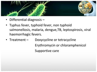 • Differential diagnosis –
• Typhus fever, typhoid fever, non typhoid
salmonellosis, malaria, dengue,TB, leptospirosis, viral
haemorrhagic fevers.
Doxycycline or tetracycline
• Treatment –
Erythromycin or chloramphenicol
Supportive care

 