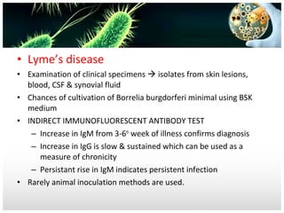 • Lyme’s disease
• Examination of clinical specimens  isolates from skin lesions,
blood, CSF & synovial fluid
• Chances of cultivation of Borrelia burgdorferi minimal using BSK
medium
• INDIRECT IMMUNOFLUORESCENT ANTIBODY TEST
– Increase in IgM from 3-6th week of illness confirms diagnosis
– Increase in IgG is slow & sustained which can be used as a
measure of chronicity
– Persistant rise in IgM indicates persistent infection
• Rarely animal inoculation methods are used.

 