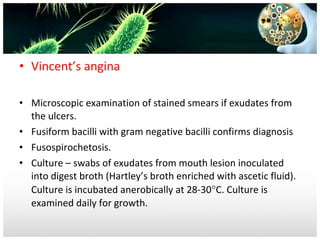 • Vincent’s angina
• Microscopic examination of stained smears if exudates from
the ulcers.
• Fusiform bacilli with gram negative bacilli confirms diagnosis
• Fusospirochetosis.
• Culture – swabs of exudates from mouth lesion inoculated
into digest broth (Hartley’s broth enriched with ascetic fluid).
Culture is incubated anerobically at 28-30°C. Culture is
examined daily for growth.

 