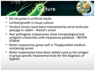 Culture
• Do not grow in artificial media
• Limited growth in tissue culture
• Virulent strains have been maintained by serial testicular
passage in rabbit – Nichol’s strain
• Non pathogenic treponemes show morphological and
antigenic similarities with treponema pallidum – REITER
STRAIN
• Reiter treponemes grow well in Thioglycollate medium
containing serum
• Reiter treponemes have been widely used as the antigen
in group specific treponemal tests for the diagnosis of
Syphilis

 