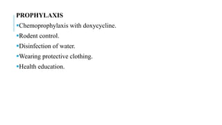 PROPHYLAXIS
Chemoprophylaxis with doxycycline.
Rodent control.
Disinfection of water.
Wearing protective clothing.
Health education.
 