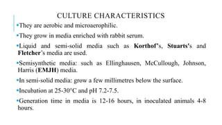 CULTURE CHARACTERISTICS
They are aerobic and microaerophilic.
They grow in media enriched with rabbit serum.
Liquid and semi-solid media such as Korthof’s, Stuarts's and
Fletcher’s media are used.
Semisynthetic media: such as Ellinghausen, McCullough, Johnson,
Harris (EMJH) media.
In semi-solid media: grow a few millimetres below the surface.
Incubation at 25-30°C and pH 7.2-7.5.
Generation time in media is 12-16 hours, in inoculated animals 4-8
hours.
 