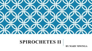 SPIROCHETES II
BY MARY MWINGA
 