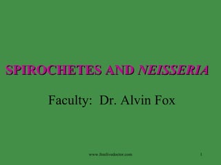 SPIROCHETES AND   NEISSERIA   Faculty:  Dr. Alvin Fox www.freelivedoctor.com 