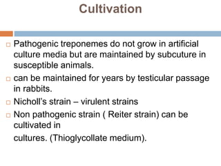Cultivation
 Pathogenic treponemes do not grow in artificial
culture media but are maintained by subcuture in
susceptible animals.
 can be maintained for years by testicular passage
in rabbits.
 Nicholl’s strain – virulent strains
 Non pathogenic strain ( Reiter strain) can be
cultivated in
cultures. (Thioglycollate medium).
 