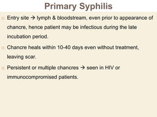 Primary Syphilis
 Entry site  lymph & bloodstream, even prior to appearance of
chancre, hence patient may be infectious during the late
incubation period.
 Chancre heals within 10-40 days even without treatment,
leaving scar.
 Persistent or multiple chancres  seen in HIV or
immunocompromised patients.
 