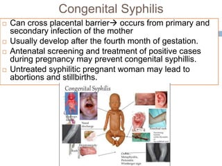 Congenital Syphilis
 Can cross placental barrier occurs from primary and
secondary infection of the mother
 Usually develop after the fourth month of gestation.
 Antenatal screening and treatment of positive cases
during pregnancy may prevent congenital syphillis.
 Untreated syphilitic pregnant woman may lead to
abortions and stillbirths.
 
