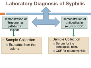 Laboratory Diagnosis of Syphilis
 Sample Collection
 Exudates from the
lesions
Demonstration of
Treponema
pallidum in
lesions.
Demonstration of
antibodies in
serum or CSF.
 Sample Collection
 Serum for the
serological tests
 CSF for neurosyphillis.
 