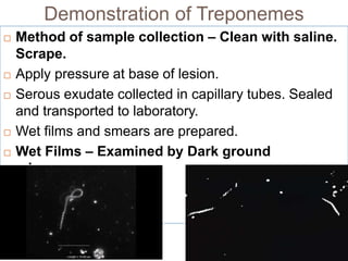 Demonstration of Treponemes
 Method of sample collection – Clean with saline.
Scrape.
 Apply pressure at base of lesion.
 Serous exudate collected in capillary tubes. Sealed
and transported to laboratory.
 Wet films and smears are prepared.
 Wet Films – Examined by Dark ground
microscope.
 