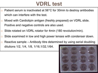 VDRL test
 Patient serum is inactivated at 56°C for 30min to destroy antibodies
which can interfere with the test.
 Mixed with Cardiolipin antigen (freshly prepared) on VDRL slide.
Positive and negative controls are also used.
 Slide rotated on VDRL rotator for 4min (180 revolution/min).
 Slide examined in low and high power lenses with condenser down.
 Reactive sample – Antibody titre determined by using serial doubling
dilutions 1/2, 1/4, 1/8, 1/16,1/32,1/64.
 
