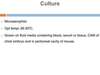 Culture
 Microaerophilic
 Opt tempr 28-300C.
 Grown on fluid media containing blood, serum or tissue, CAM of
chick embryo and in peritoneal cavity of mouse.
 